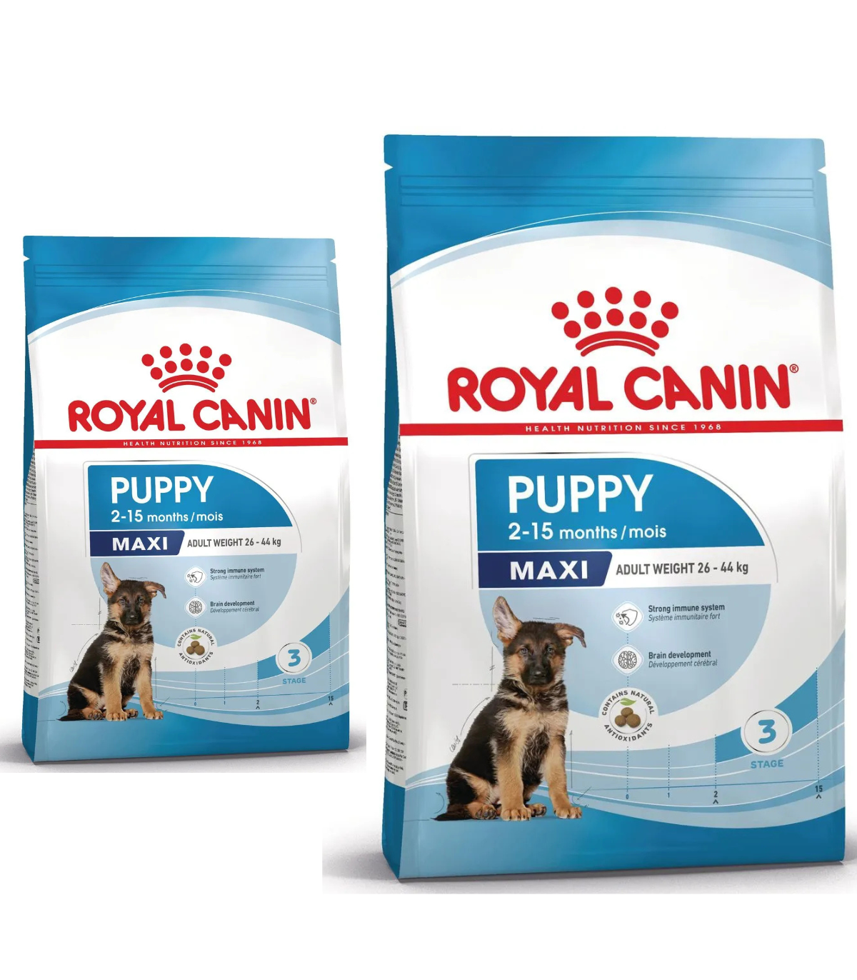 Royal Canin Maxi Puppy