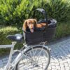 Borsa da Bici Trixie Friends On Tour