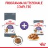 Royal Canin Appetite Control Care Salsa