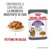 Royal Canin Appetite Control Care Salsa
