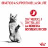Royal Canin Appetite Control Care Salsa