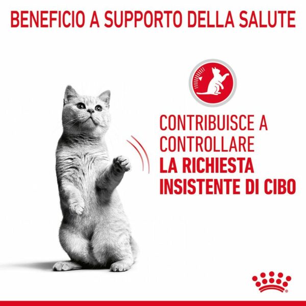 Royal Canin Appetite Control Care Salsa