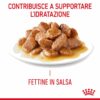 Royal Canin Appetite Control Care Salsa
