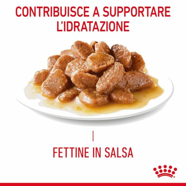 Royal Canin Appetite Control Care Salsa