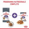 Royal Canin Appetite Control Care Gatto