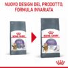Royal Canin Appetite Control Care Gatto