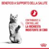 Royal Canin Appetite Control Care Gatto