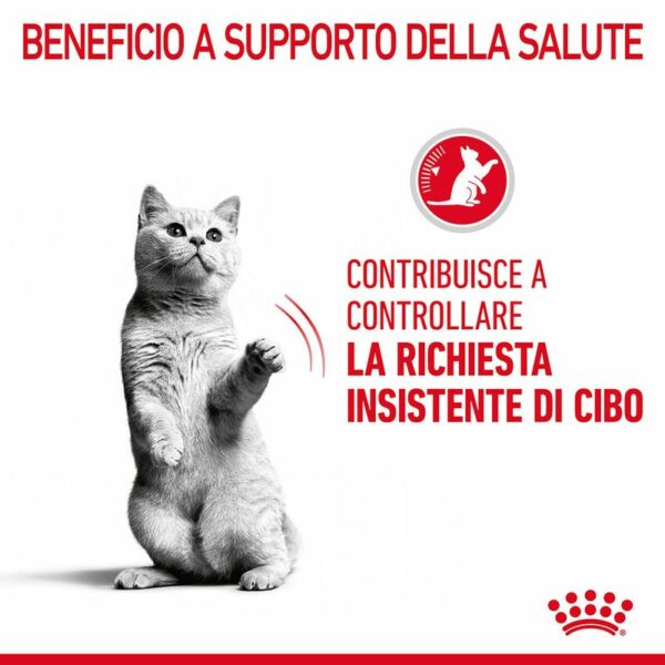 Royal Canin Appetite Control Care Gatto