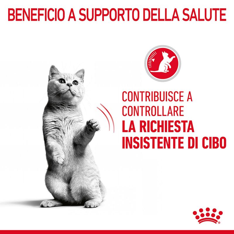 Royal Canin Appetite Control Care Gatto