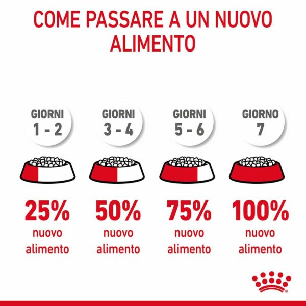 Royal Canin Hairball Care Gatto