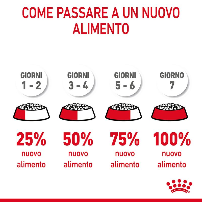 Royal Canin Hairball Care Gatto