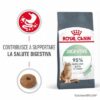 Royal Canin Digestive Care Gatto