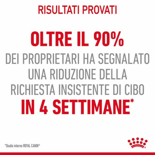 Royal Canin Digestive Care Gatto
