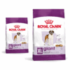 Royal Canin Giant Adult