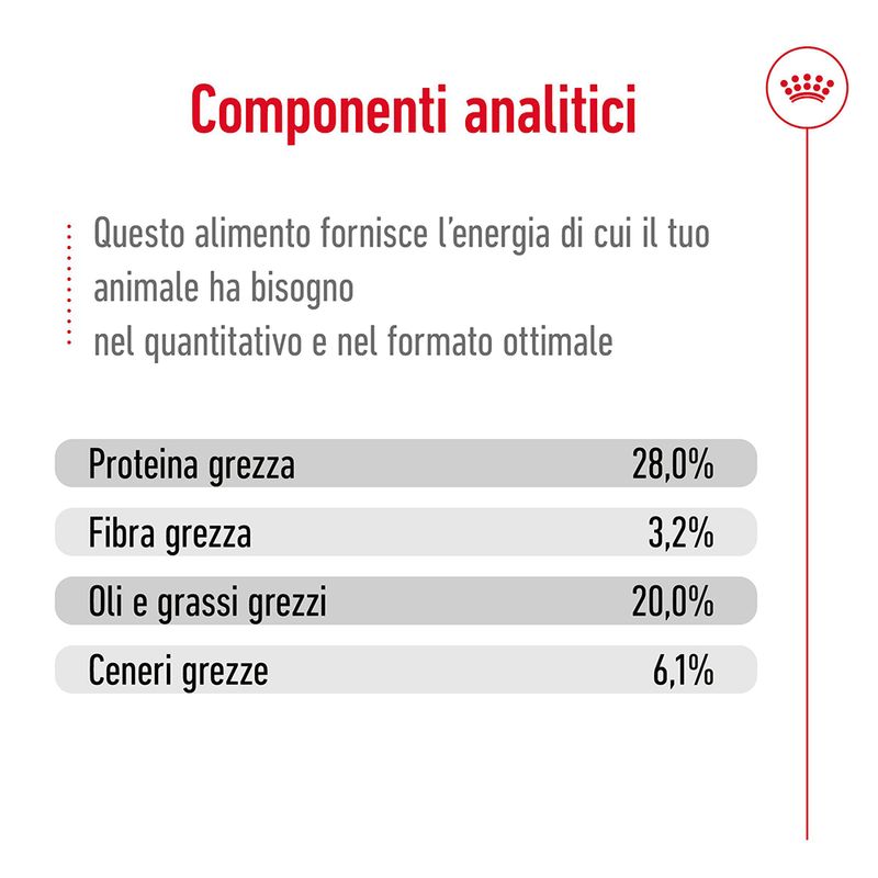 Royal Canin Giant Adult