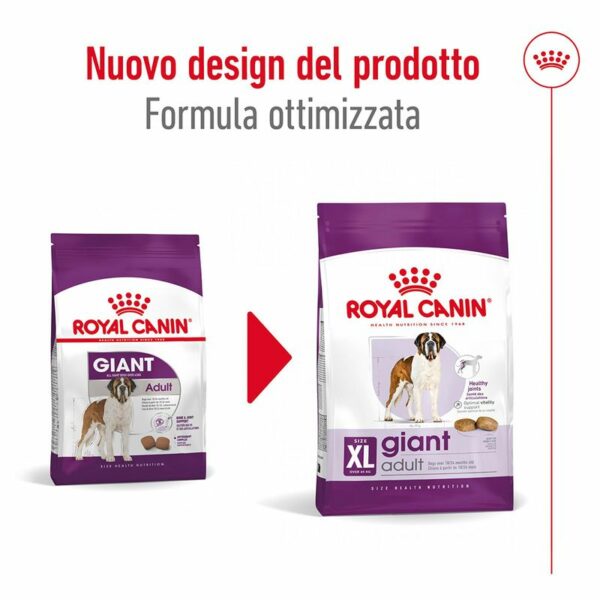 Royal Canin Giant Adult