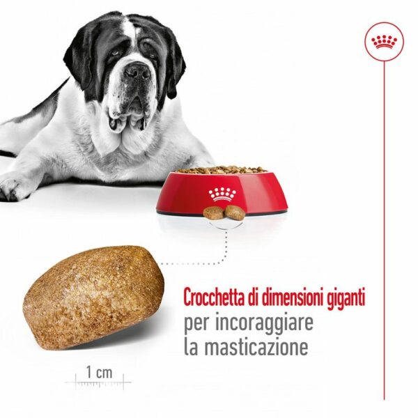 Royal Canin Giant Adult