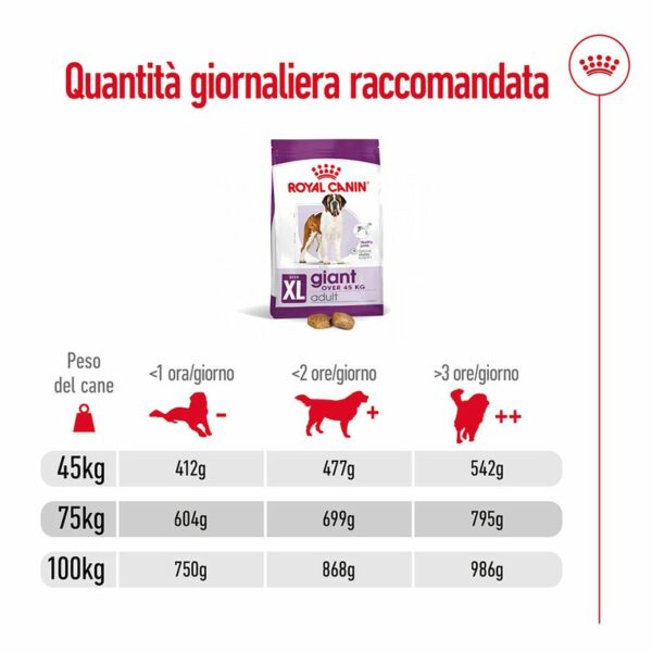 Royal Canin Giant Adult