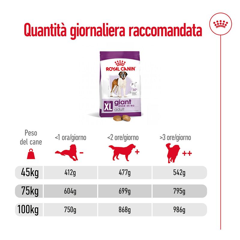 Royal Canin Giant Adult