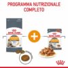 Royal Canin Hair&Skin Care Gatto