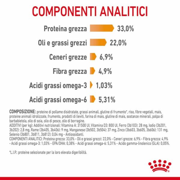 Royal Canin Hair&Skin Care Gatto