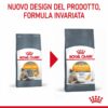 Royal Canin Hair&Skin Care Gatto