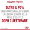 Royal Canin Hair&Skin Care Gatto