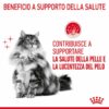 Royal Canin Hair&Skin Care Gatto