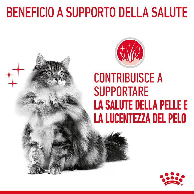 Royal Canin Hair&Skin Care Gatto