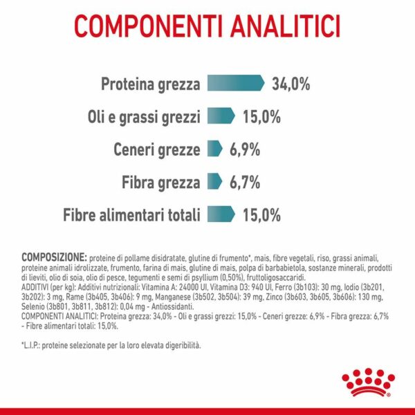 Royal Canin Hairball Care Gatto