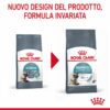 Royal Canin Hairball Care Gatto