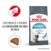 Royal Canin Hairball Care Gatto