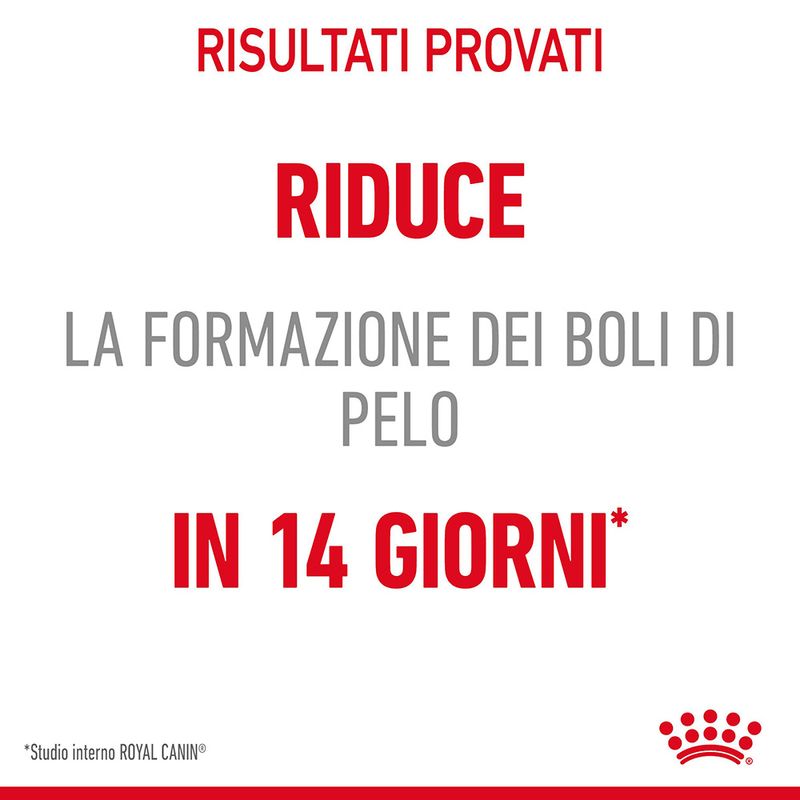 Royal Canin Hairball Care Gatto