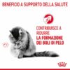 Royal Canin Hairball Care Gatto