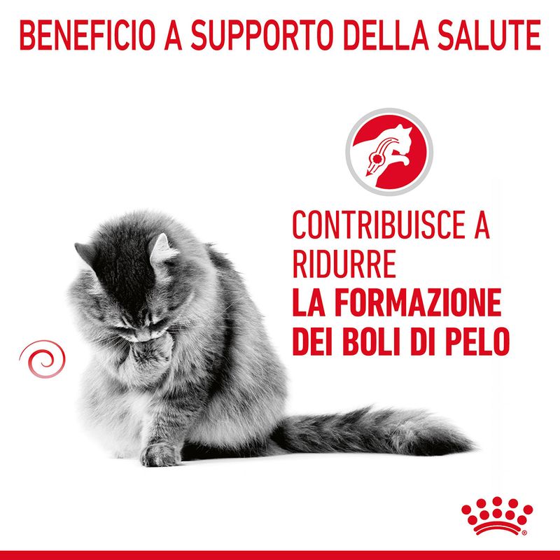 Royal Canin Hairball Care Gatto