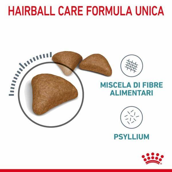 Royal Canin Hairball Care Gatto