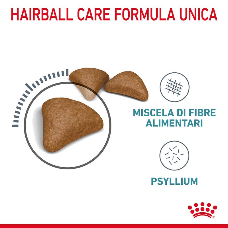 Royal Canin Hairball Care Gatto