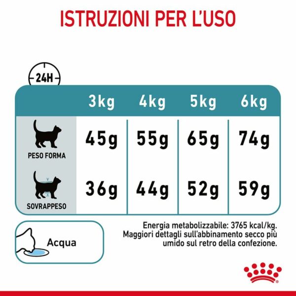 Royal Canin Hairball Care Gatto