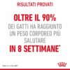 Royal Canin Light Weight Care in Salsa