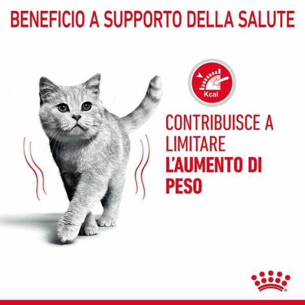 Royal Canin Light Weight Care in Salsa