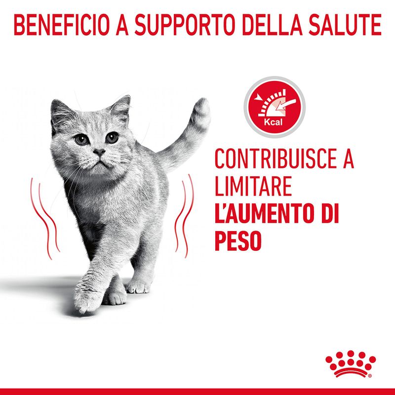 Royal Canin Light Weight Care in Salsa