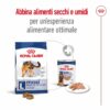 Royal Canin Maxi Ageing 8+