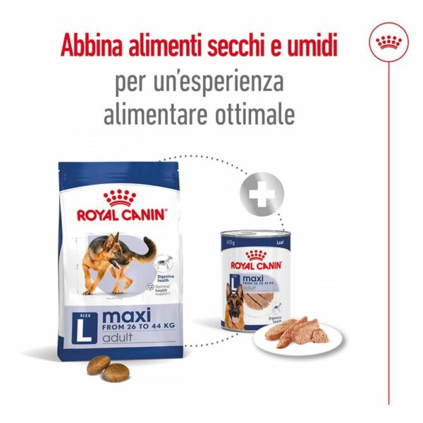 Royal Canin Maxi Ageing 8+