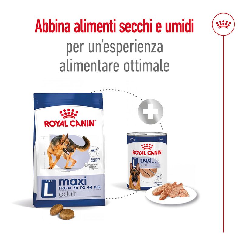 Royal Canin Maxi Ageing 8+