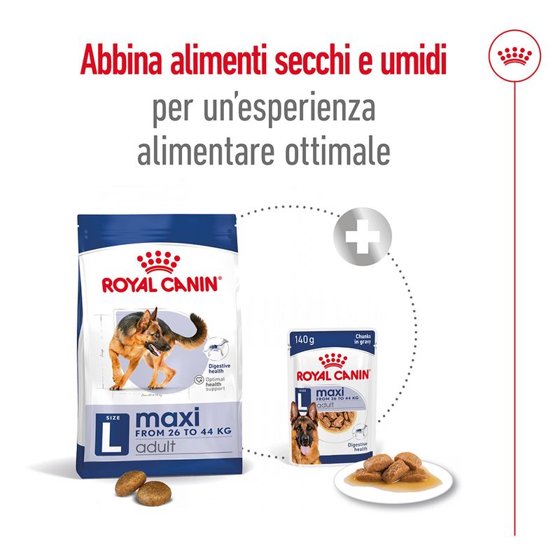 Royal Canin Maxi Ageing 8+