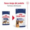 Royal Canin Maxi Ageing 8+ in Salsa