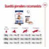Royal Canin Maxi Ageing 8+