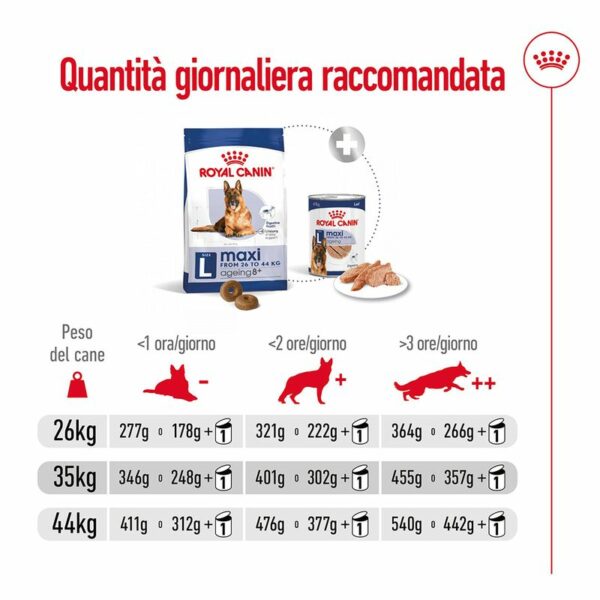 Royal Canin Maxi Ageing 8+