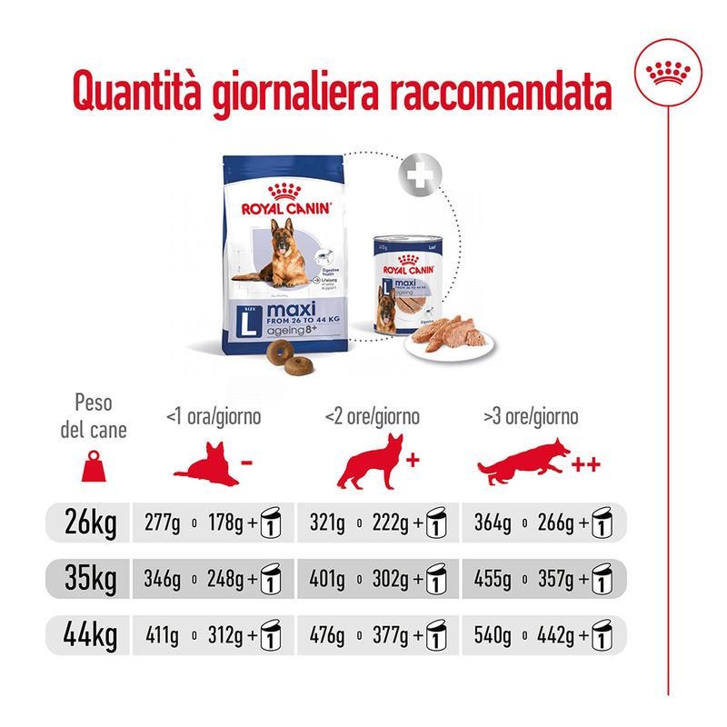 Royal Canin Maxi Ageing 8+