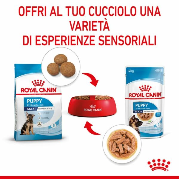 Royal Canin Maxi Puppy in Salsa